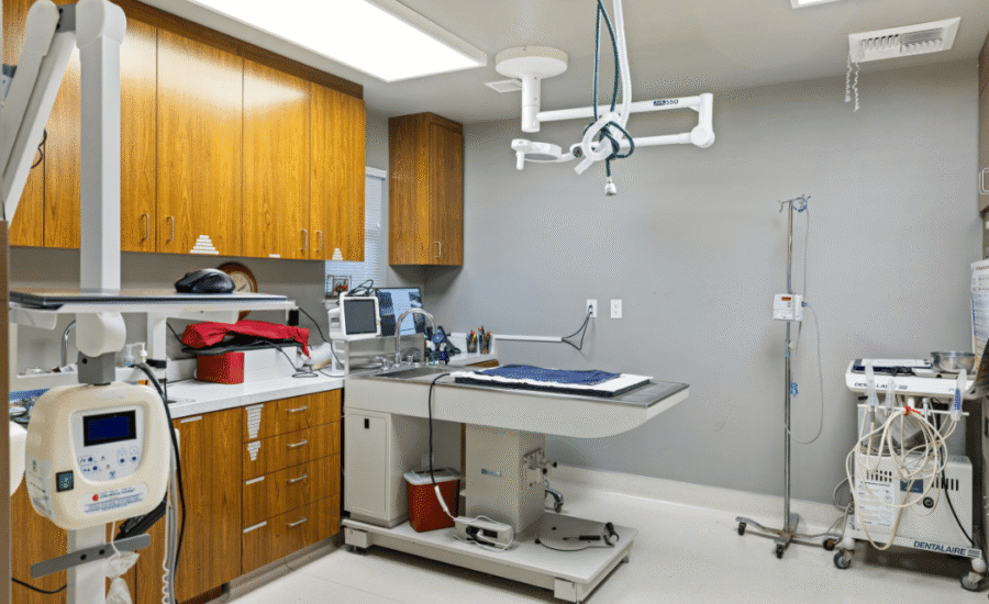 Predictieve gezondheidszorg voor huisdieren