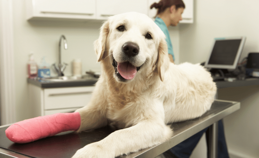 Robots en AI in de operatiekamer