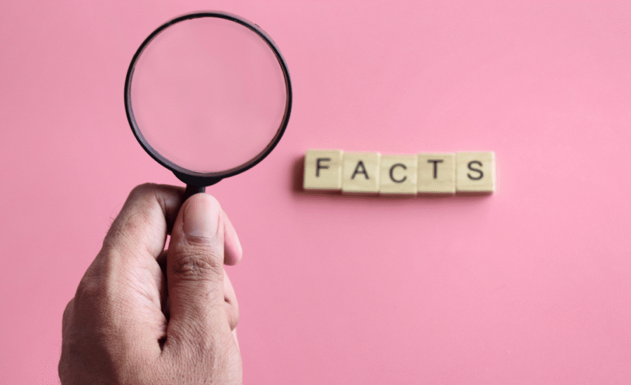 Automatisch feitenonderzoek